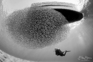 Under the boat, Dahab, Red sea. by Filip Staes 